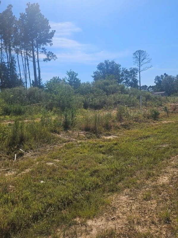 2055 Road 5913