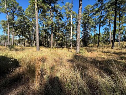 Photo of 57 Private Road 6028, Brookeland, TX 75931 (MLS # 95055377)