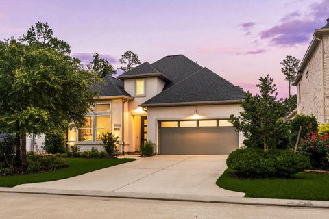 Photo of 18 Gentle Branch Place, Tomball, TX 77375 (MLS # 59418928)