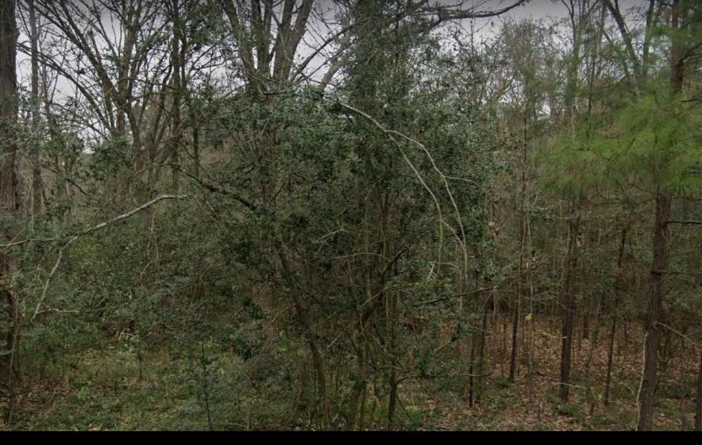 Photo of 1535 Sunrise Trail, Houston, TX 77339 (MLS # 17877119)