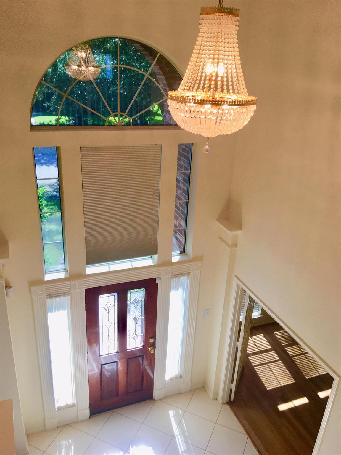 308 Pinnacle Cove Court
