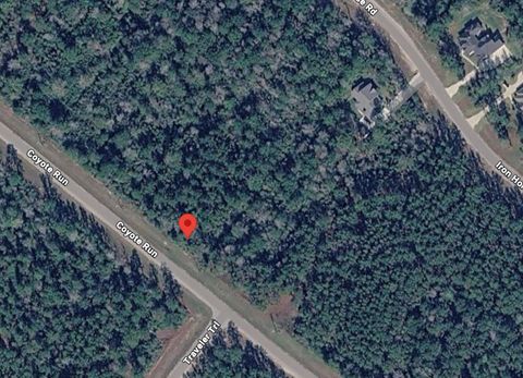 Photo of 35 Coyote Run, Willis, TX 77378 (MLS # 72593450)