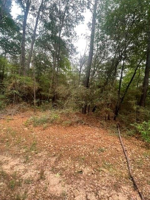 16862 Big Brave Circle Waller TX 77445