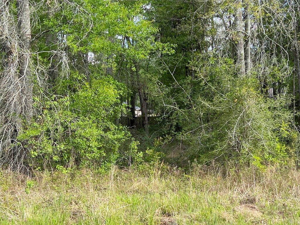 Photo of 25685 Northampton, New Caney, TX 77357 (MLS # 43144993)