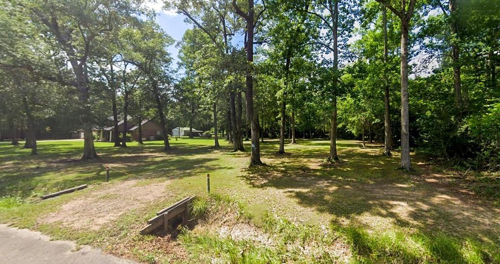 Photo of 2208 Appian Way, New Caney, TX 77357 (MLS # 76336221)