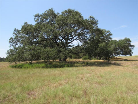 Photo of 7863 Fm 332 Road, Brenham, TX 77833 (MLS # 27965030)