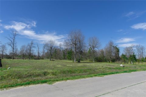Photo of 83 County Road 5004, Cleveland, TX 77327 (MLS # 76138520)