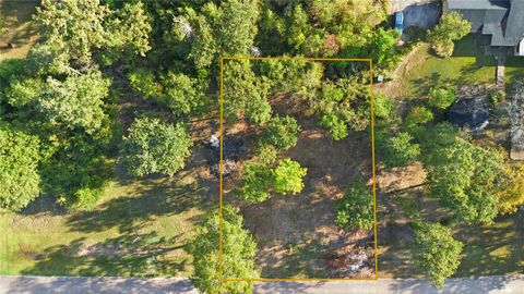 Photo of 23 Deep Woods Lane, Livingston, TX 77351 (MLS # 40053194)