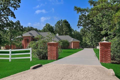 Photo of 15569 Zoe Loop Drive, Montgomery, TX 77316 (MLS # 50120592)