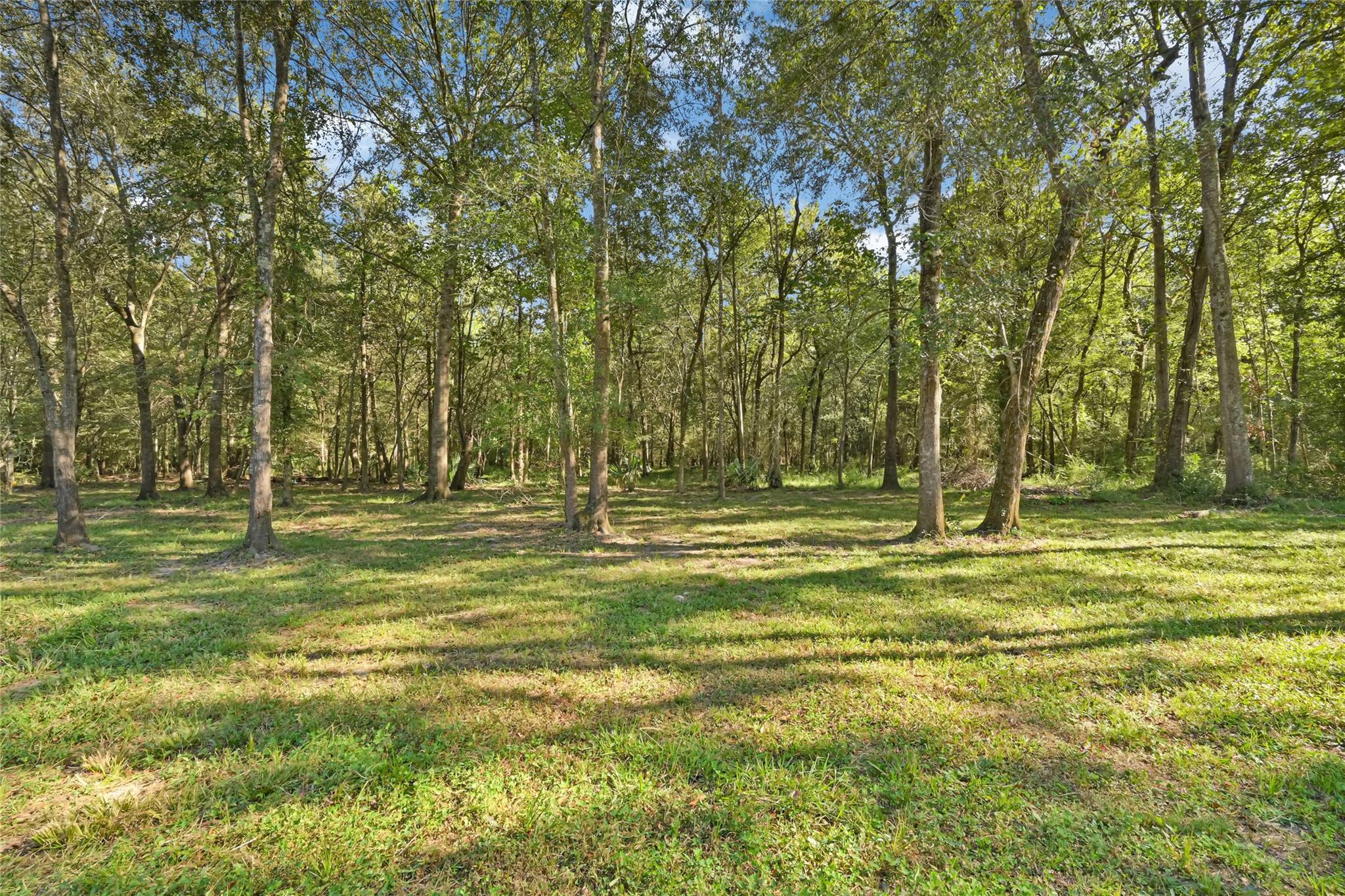 114 Gourd Creek Drive