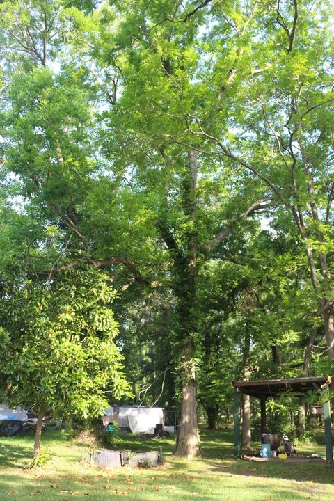 Tiny photo for 30 Moss Hill Lane, Point Blank, TX 77364 (MLS # 49821546)