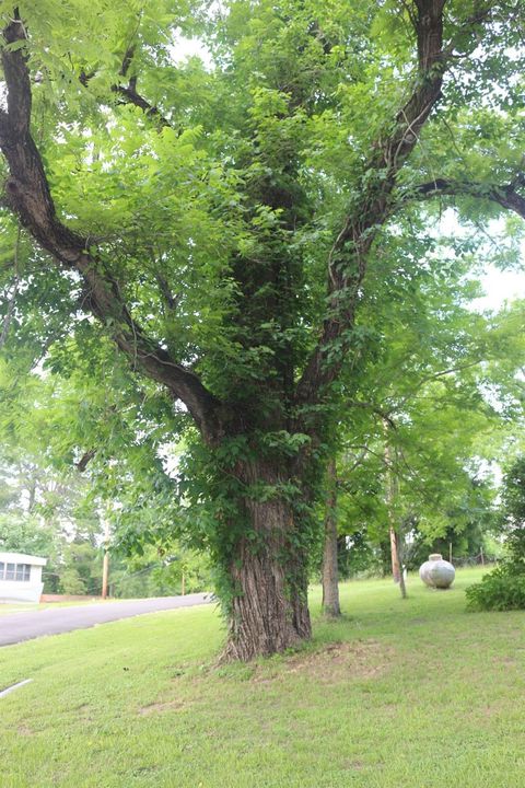 Tiny photo for 30 Moss Hill Lane, Point Blank, TX 77364 (MLS # 49821546)