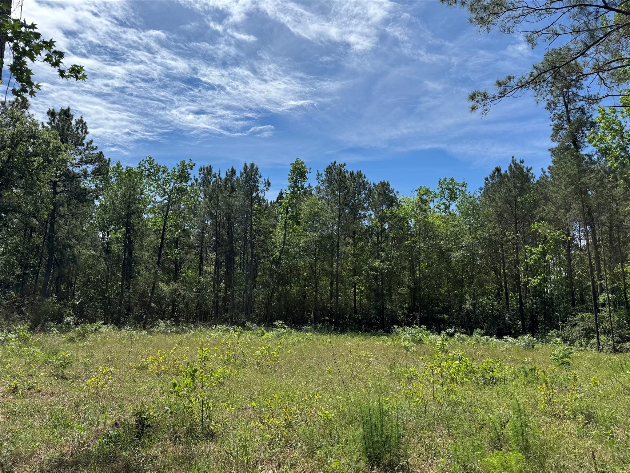 7705 Dog Wood Acres Drive