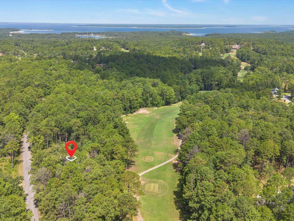 Photo of 155 Victoria Drive, Brookeland, TX 75931 (MLS # 11246222)