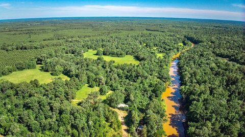 Vacant Land For Sale - 2611 County Road 789<br/> Nacogdoches County, Douglass, TX 75943