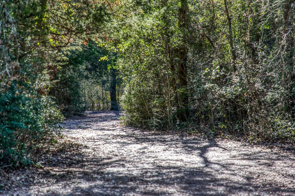 Photo of 20984 Fm 1094, New Ulm, TX 78950 (MLS # 70007556)