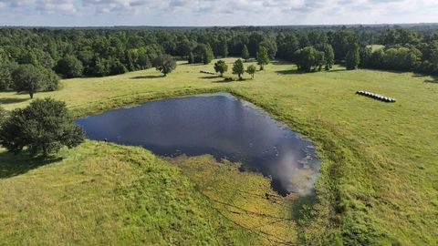 Photo of TBD Walker Ln Lane, Huntsville, TX 77320 (MLS # 22150138)