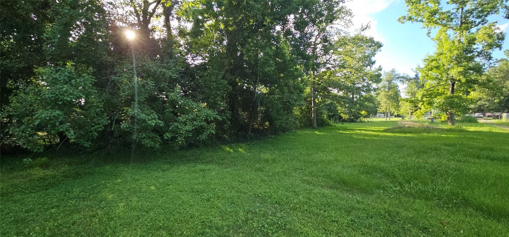 Photo of 16528 Live Oak Square, Porter, TX 77365 (MLS # 92269721)