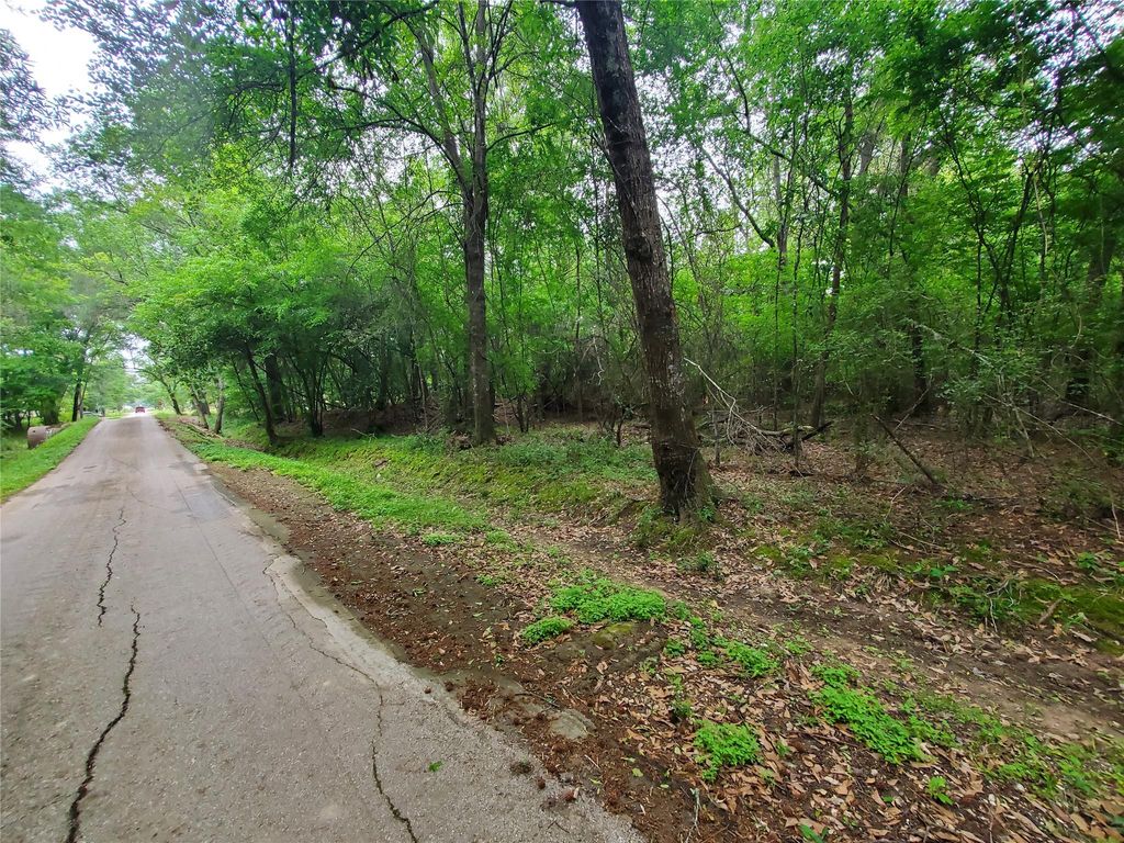 Photo of 246 Countyroad 3990, Cleveland, TX 77328 (MLS # 10469528)