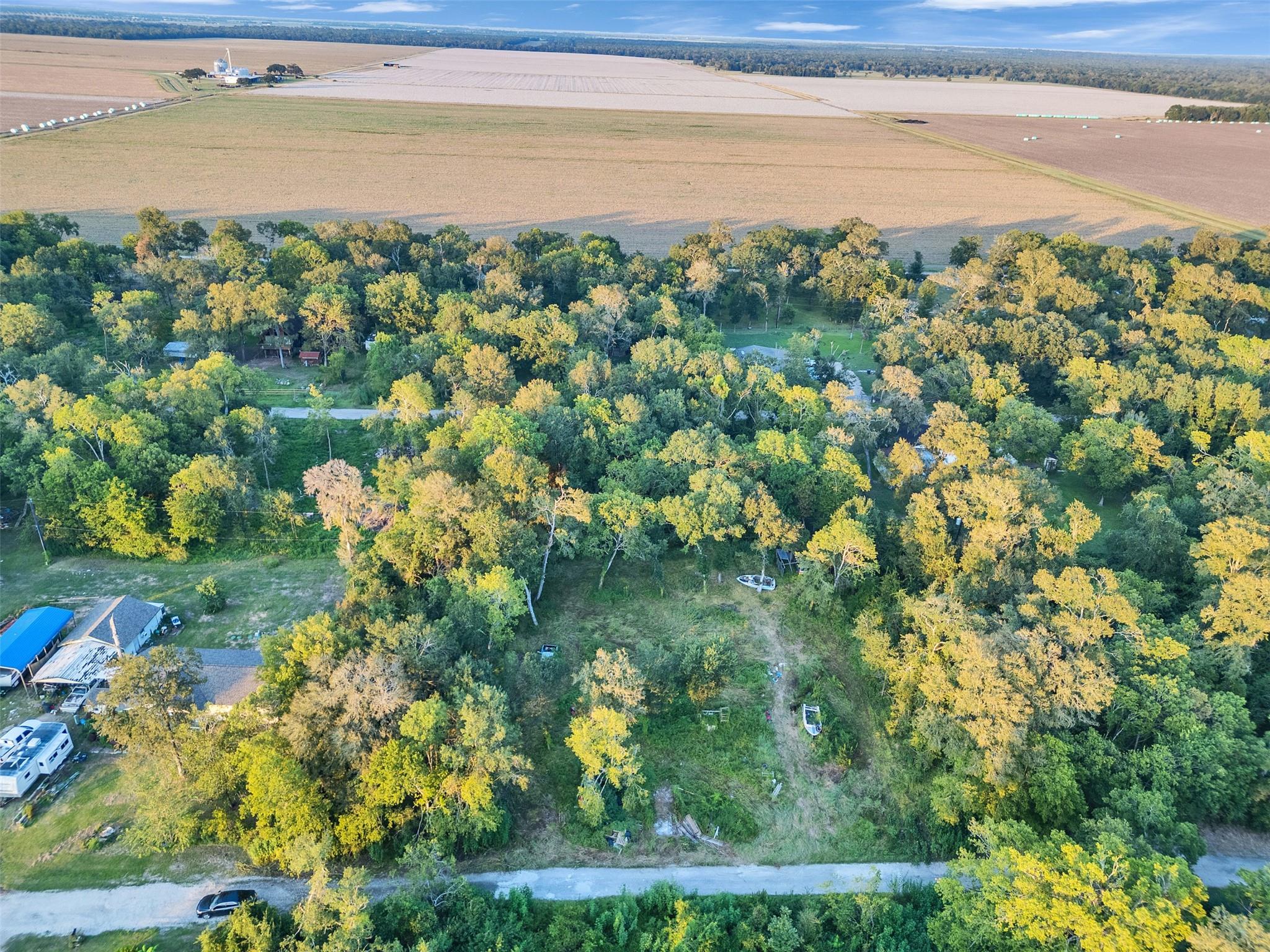 TBD Lost Forest Drive