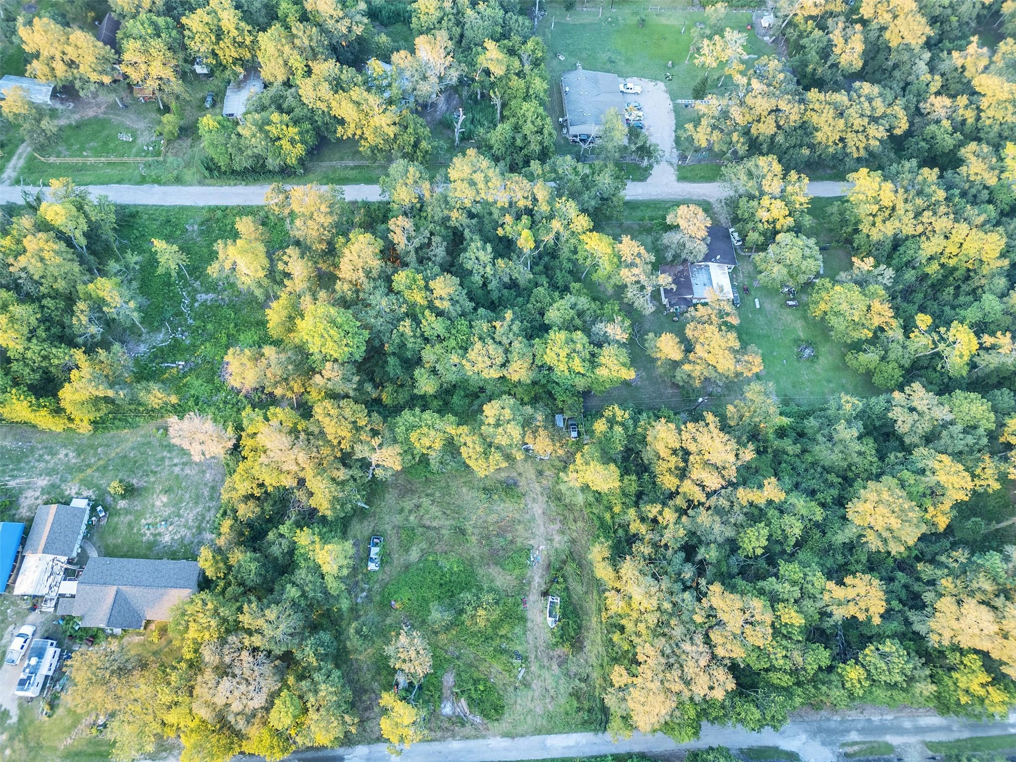 TBD Lost Forest Drive