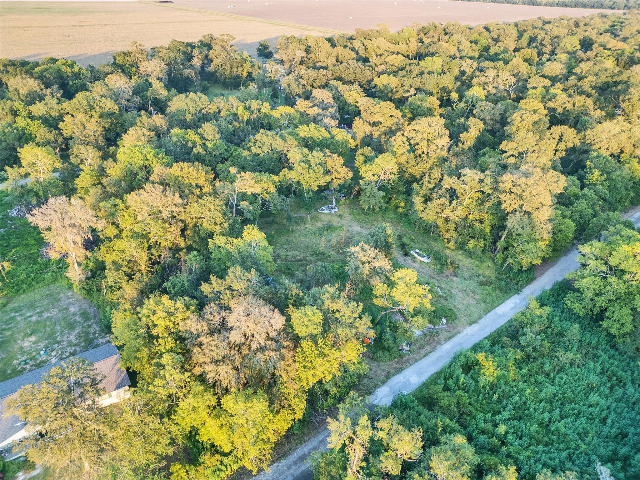 TBD Lost Forest Drive