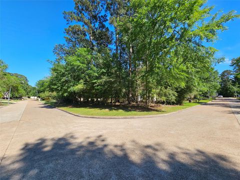 Photo of 2846 Whitman Drive, Montgomery, TX 77356 (MLS # 60285880)