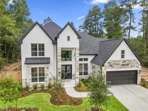 Photo of 208 Lilac Tree Court, Willis, TX 77318 (MLS # 52631218)