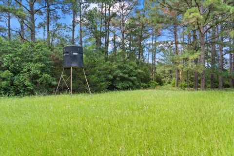 Photo of 11 St Delight Road, Paige, TX 78659 (MLS # 64359052)
