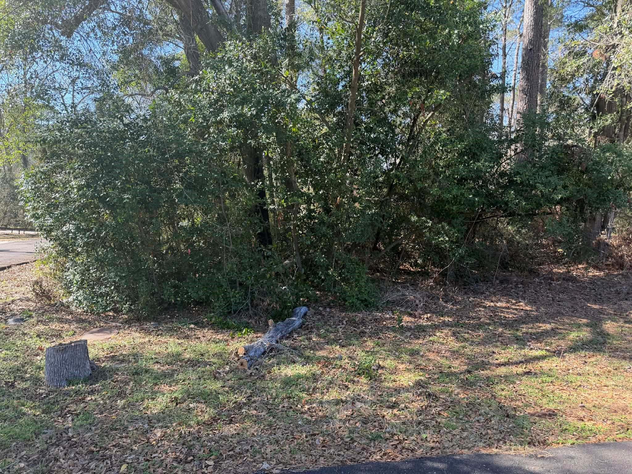 137 Paradise Valley Drive