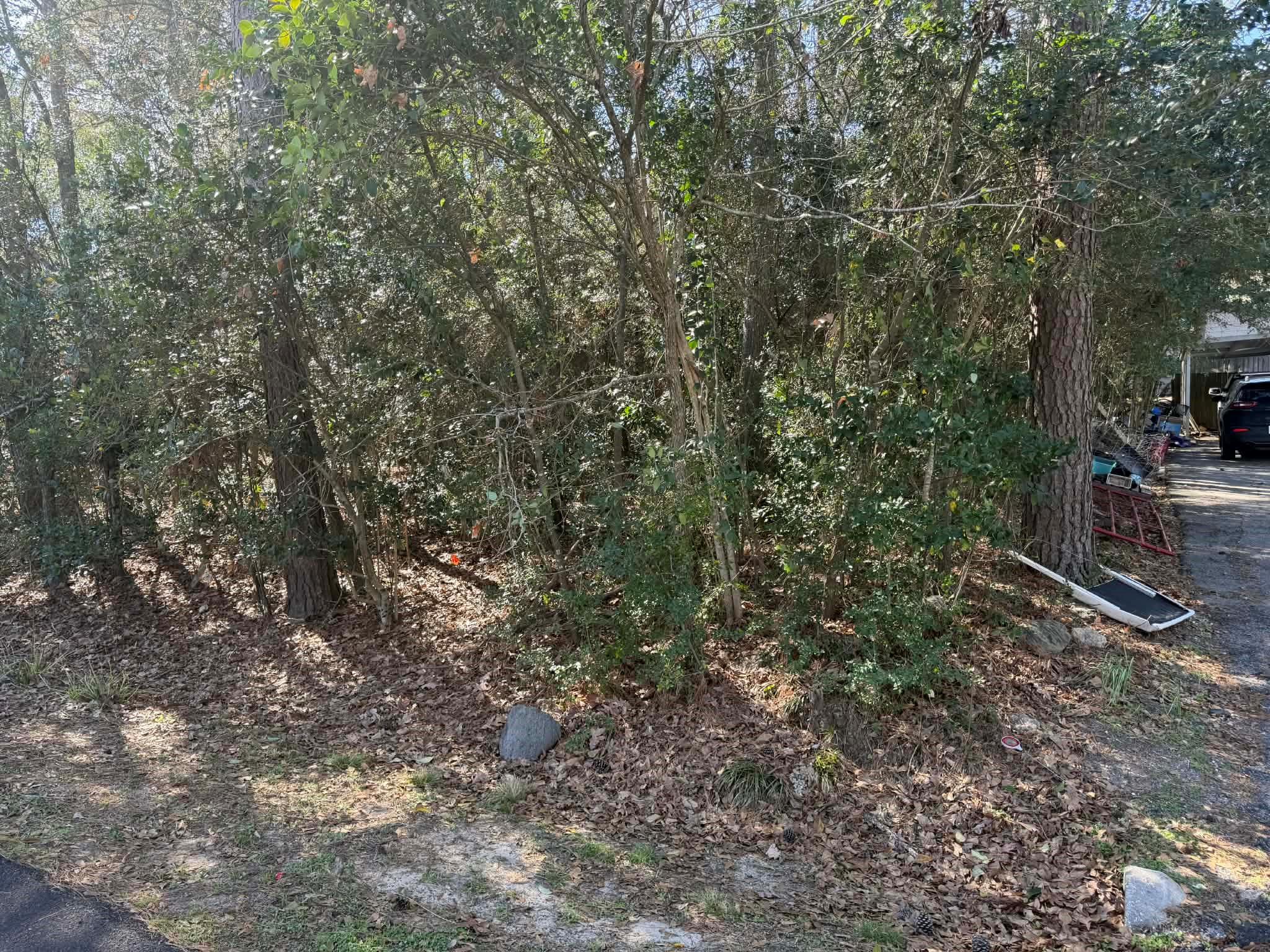 137 Paradise Valley Drive