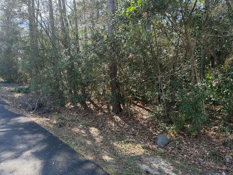 137 Paradise Valley Drive Conroe TX 77304