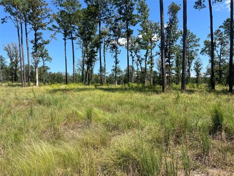 Photo of TBD Ray Marsh Rd Road, Livingston, TX 77351 (MLS # 83470588)