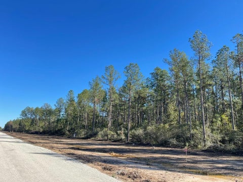 Photo of TBD Black Cat Road, Sour Lake, TX 77659 (MLS # 58559012)