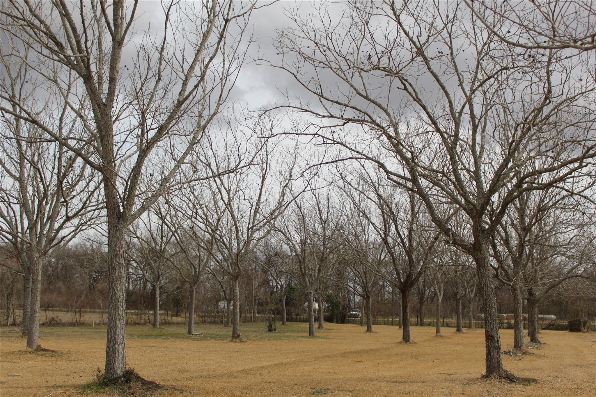 5555 County Road 135 Road