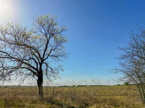 Photo of 10 Hamilton, Hamilton, TX 76531 (MLS # 14207356)
