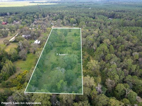 Photo of TBD Buffalo Subdivision Road, Livingston, TX 77351 (MLS # 40119863)