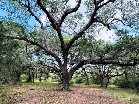 Photo of 50 Dunlavy, Cat Spring, TX 78933 (MLS # 25406278)