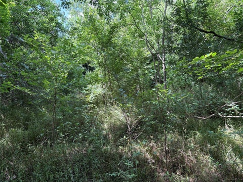 Vacant Land For Sale - Donna Street<br/> Houston, TX 77048
