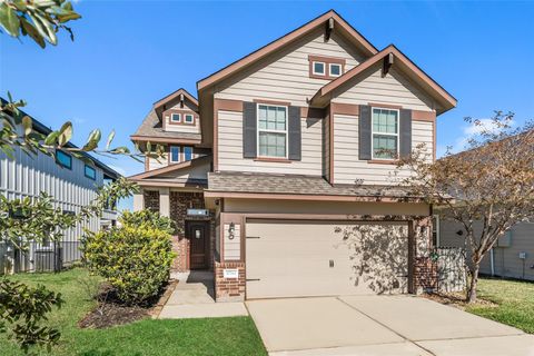 10744 S Lake Mist Lane Willis TX 77318