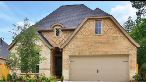 Photo of 217 N Carson Cub Court, Montgomery, TX 77316 (MLS # 56836386)