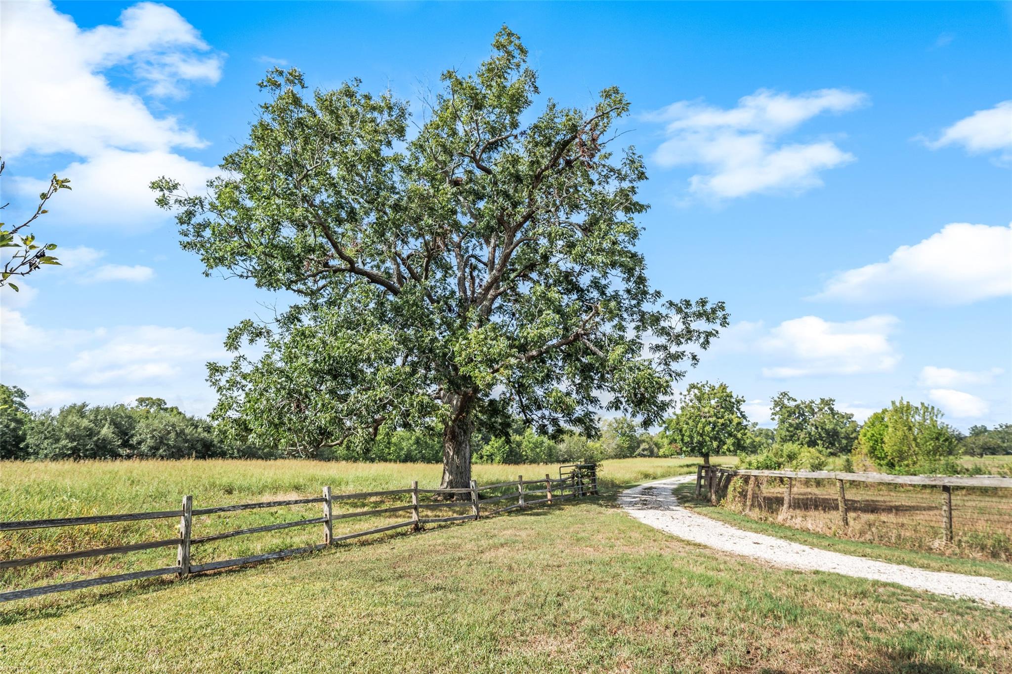 38914 Sampson Road