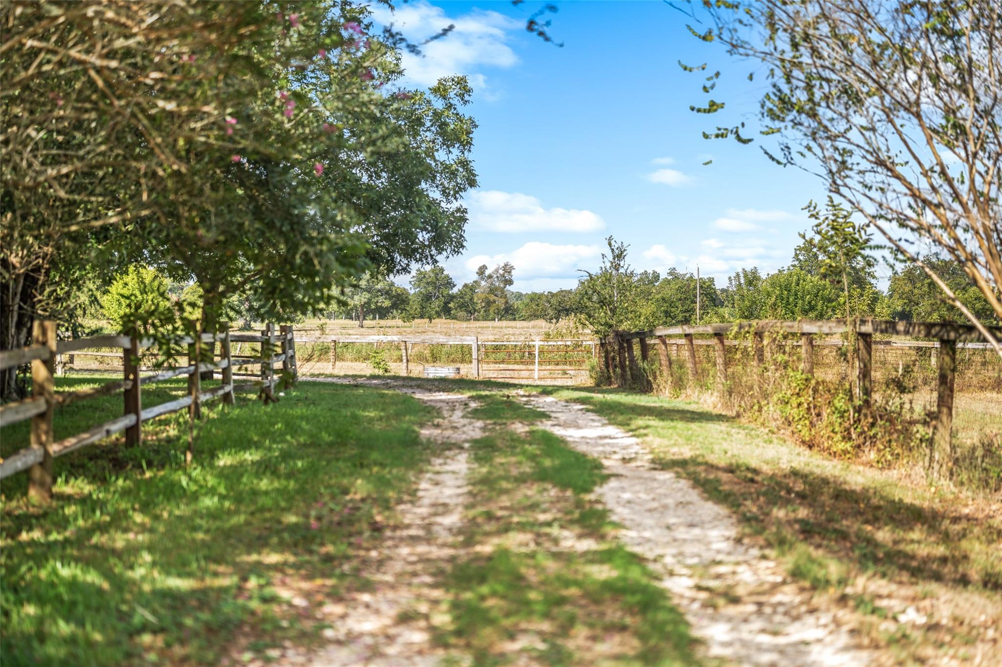 38914 Sampson Road