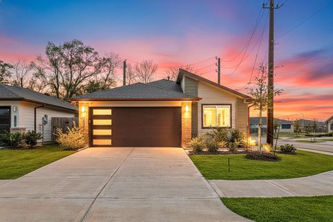 Photo of 12902 Wempe Way, Houston, TX 77047 (MLS # 22940691)