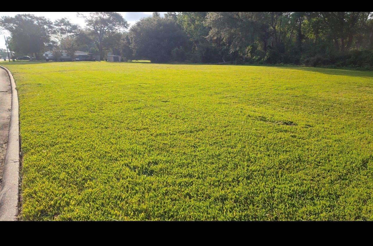 0 Ward Road