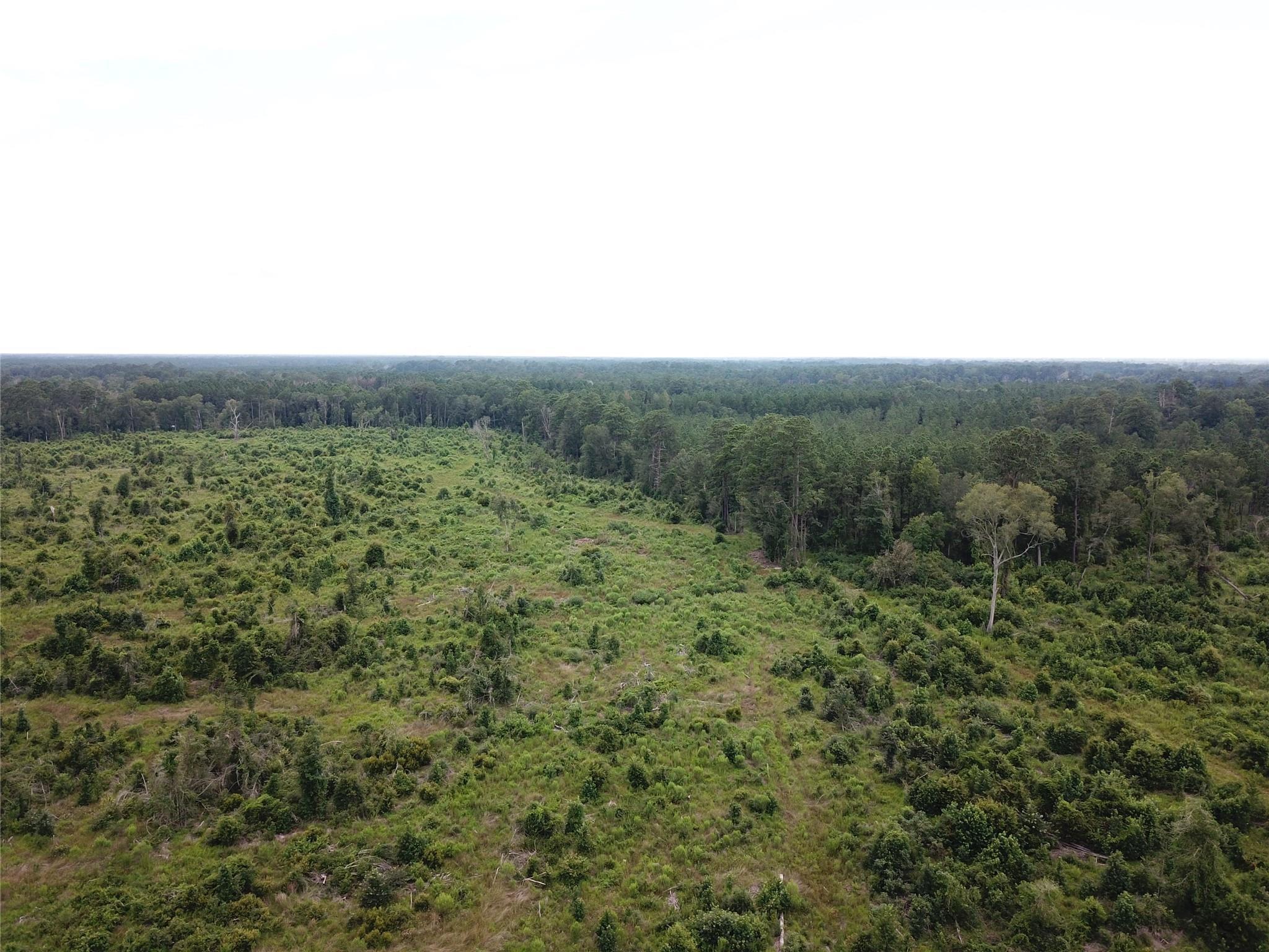 TBD County Road 3089