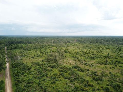 TBD County Road 3089 Kirbyville TX 75956