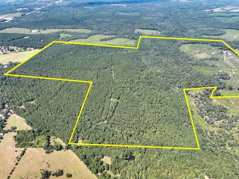 Vacant Land For Sale - Cr 314<br/> Jasper County, Kirbyville, TX 75956