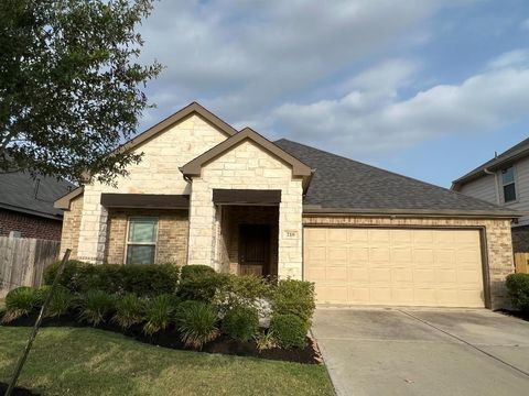 Photo of 218 Sintra Lake Way, Rosenberg, TX 77469 (MLS # 21822198)