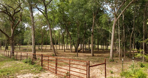 Vacant Land For Sale - 12825 Hill Creek Rd<br/> Montgomery County, Montgomery, TX 77356